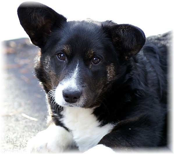 lucy 31 mar 19