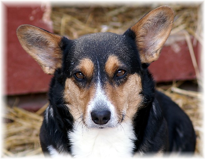 molly 31 mar 19