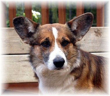 duncan